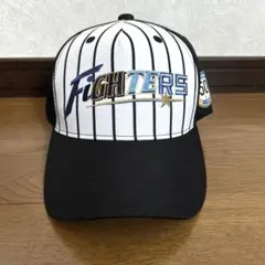 2026年最新】北海道日本ハムファイターズ リーグ名/大会名：パ・リーグ