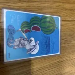 極美品✨】ナツコミ ワンピース スイカ ルフィ PSA10濃厚 - メルカリ