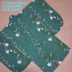 Item thumbnail for item 5cdf86a0-21ae-448a-9bf4-a06a73dc45df