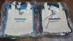 Item thumbnail for item 268c50a0-8d0e-4183-a058-731c55a4ef0a