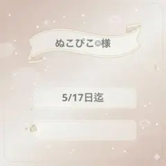 ぬこぴこ☺︎様専用