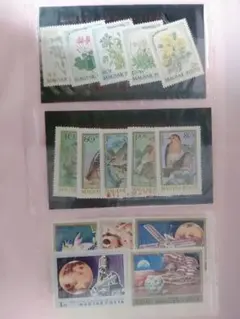 Item thumbnail for item ca96ab1d-fca4-45fa-97b4-720425a15ae3