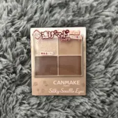 美品 CANMAKE Silky Souffle Eyes M05