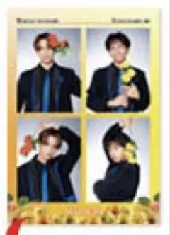 【即購入可】渡辺真 橋爪健二 テレビライフ フラワーポートレート