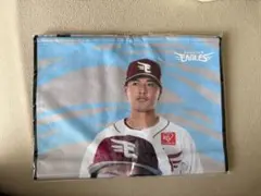 楽天イーグルス スポーツ選手