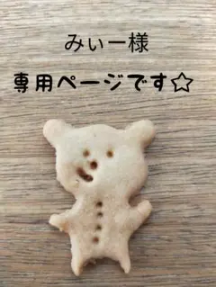 みぃー様専用です☆