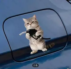 Item thumbnail for item f4ef49b2-fed5-41c1-9a16-3517416b637f