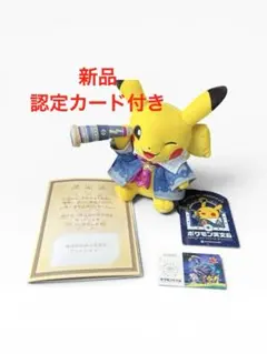 新品タグ付 ポケモン天文台 会場限定 ほしぞらピカチュウ ぬいぐるみ