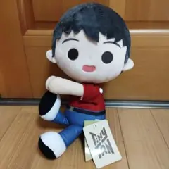 タイニータン　Tiny tan『スペシャルくっつきぬいぐるみ』　j hope