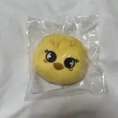 フィリックス アイドル