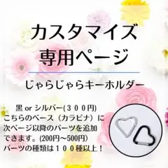 【カスタムページ３】じゃらじゃらキーホルダー　バッグチャーム　キーチャーム