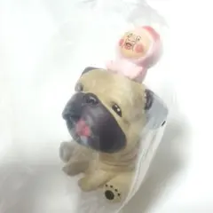 ＊ウラン＊様専用　こびとづかん おすわりマスコット4　シークレット　１点