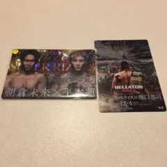 Item thumbnail for item bbb354cb-28ff-41dc-a1c9-4854b8f266c6