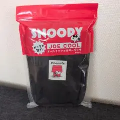 SNOOPY JOE COOL めっちゃ整う！ オールインショルダーバッグ