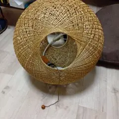 ライト 引き取り