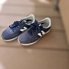 Item thumbnail for item ce871bbd-06e2-4dda-8469-f1fdd0f2f589