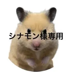 2025年最新】蚊取り線香 トトロの人気アイテム - メルカリ