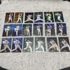 専用 プロ野球チップス サイン・キラ カードセット