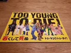 【sale】トゥーヤングトゥーダイ　パンフレット