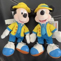 ディズニーバケーションパッケージぬいぐるみ