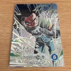 SDV9-SEC2 人造人間17号