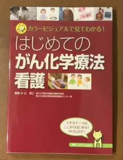 Item thumbnail for item 3c9fa561-aada-45f7-8e73-e205b6237429