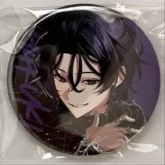 笹*こ様 Element Sicks EL6 春希 第6弾 缶バッジ Addic - メルカリ