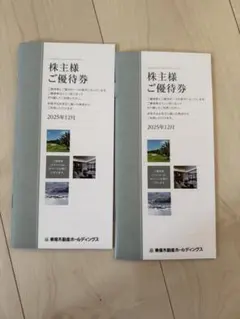 東急不動産　株主優待　100株✖️2つ