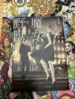 初版・帯付き】魔女と野獣 1巻 / 佐竹幸典 - メルカリ
