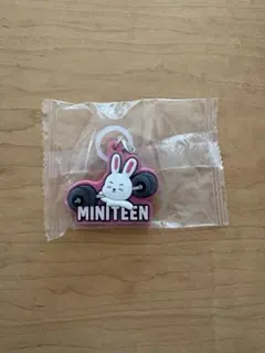 MINITEEN ミニティーン ぷっくりめじるしアクセサリー エスクプス