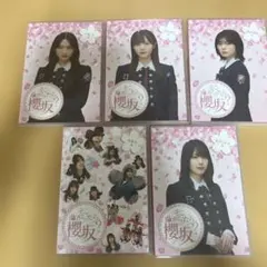 Item thumbnail for item 92086020-58e1-4c7b-ab72-5aa3fed7087a