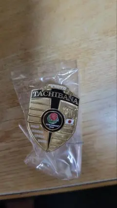 Item thumbnail for item f1313dc2-cd9d-46c6-aa45-dd13e0f3f7e2