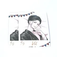 ヴィル・シェーンハイト フォト風カード