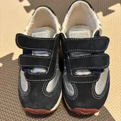 Item thumbnail for item 9b37c934-f776-4854-8995-2331cdd4cd22