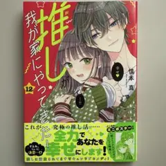 慎本真　3作品セット 2025年最新】慎本真の人気アイテム - メルカリ