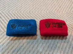 【非売品】武蔵伝Ⅱ 五輪剣リストバンド「空の剣」+予約特典全種セット 五輪剣 リストバンド PS2ソフト 武蔵伝II ブレイドマスター 予約特典