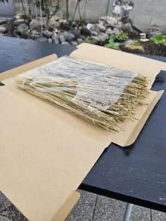 Item thumbnail for item daf9afab-fbc1-4436-980c-c09b168ad446