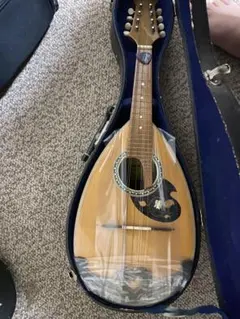 Suzuki Violin Co., Ltd. マンドリン 本体