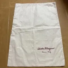フェラガモのサムネイル