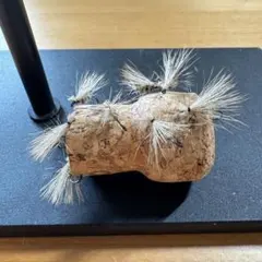 Item thumbnail for item 4a998dac-023b-4c0a-b914-b3e64e769f74