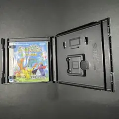 【空箱&取扱説明書のみ】ポケモン不思議のダンジョン 空箱 説明書