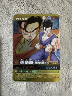 【美品】ドラゴンボール 孫悟飯（青年期）カード⑧