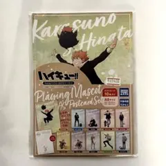 ハイキュー Playingマスコット A5ポストカード