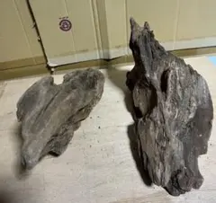 流木　NO.70 アクアリウム 水槽　オブジェ 爬虫類　2個セットのサムネイル