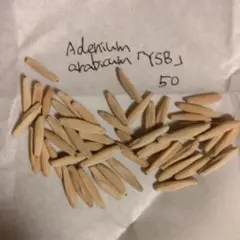 87sana様 リクエスト 4点 まとめ商品