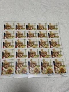 白鳥藍良　ぱしゃこれ