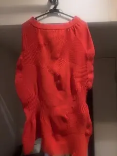 イッセイミヤケ　ISSEY MIYAKE 23AW KONE KONE スカートのサムネイル