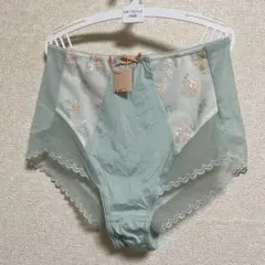 Item thumbnail for item a0afdc64-6e8e-4a5a-bff8-7d22a8fba7d3