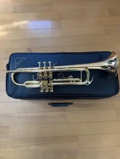 Item thumbnail for item e4e1a3bb-a0b8-4cdb-8d5f-bf3a21589276