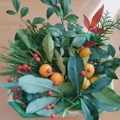 Item thumbnail for item 33bbb04f-15c5-4d90-b656-f06596412842